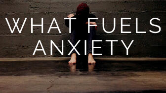 jon nadler philadelphia what fuels anxiety